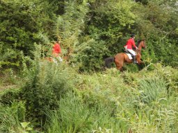 img_9793_web